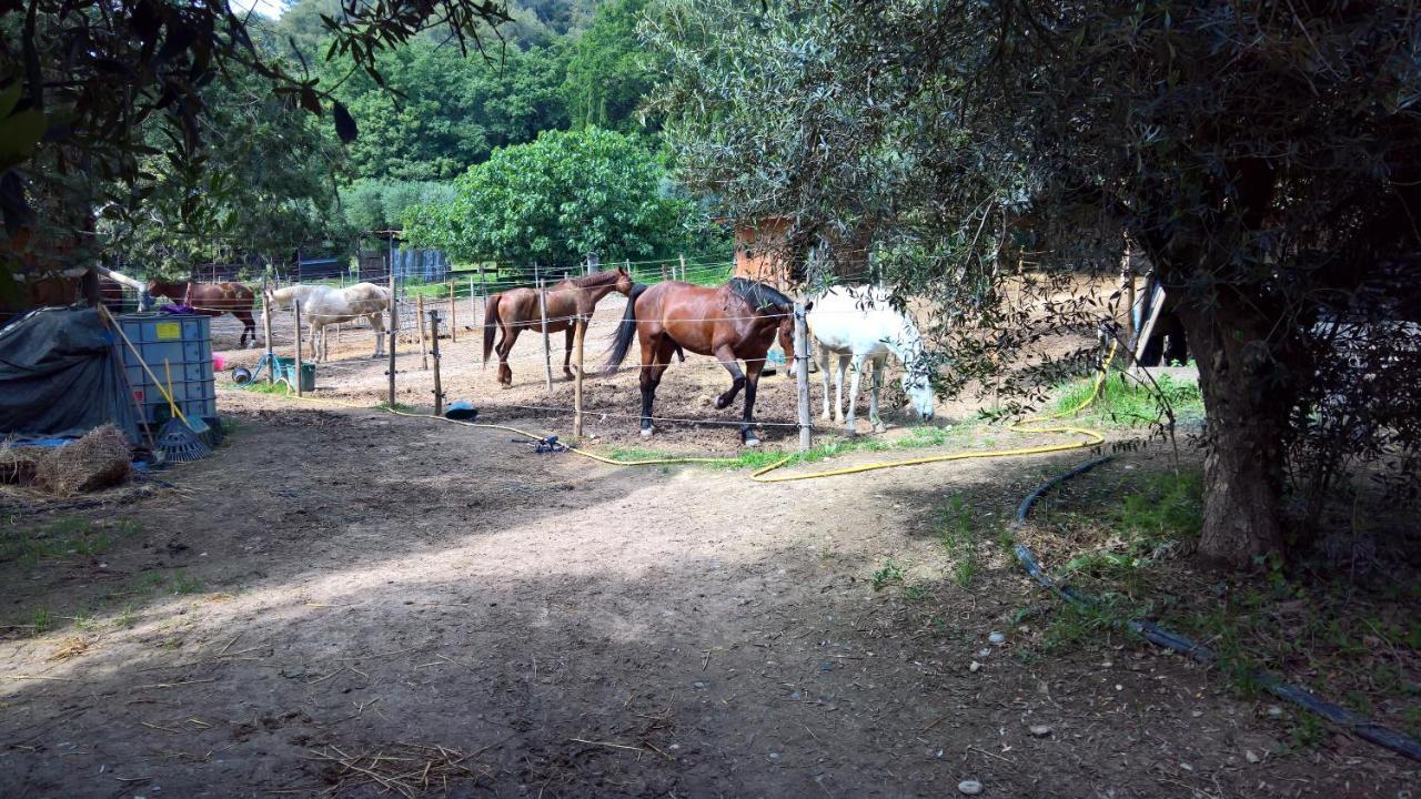 Baie Des Anges Appartement Bis Villeneuve-Loubet Bagian luar foto